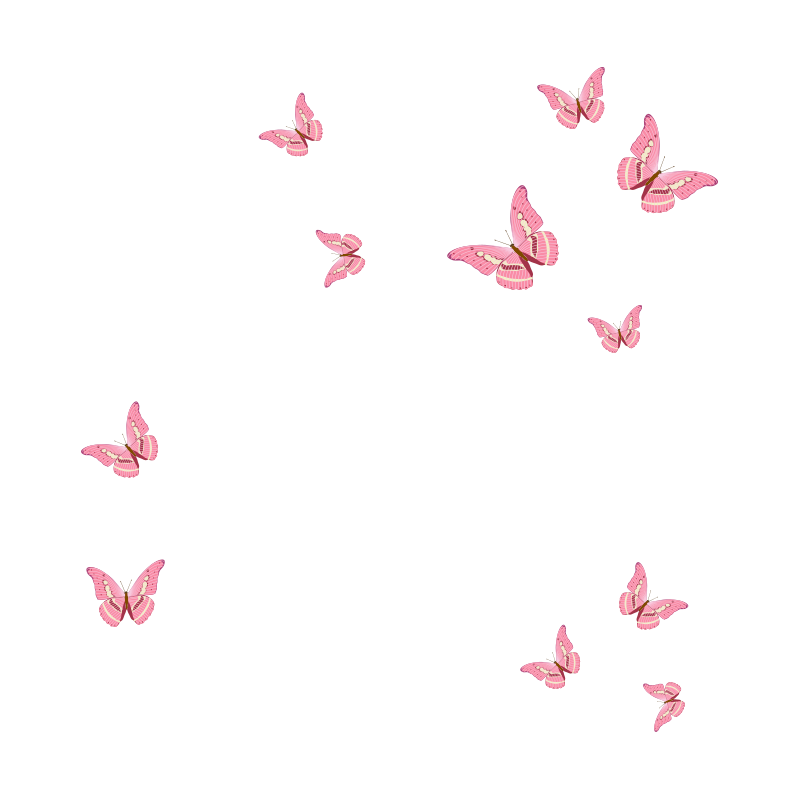 Papillon décoration 6