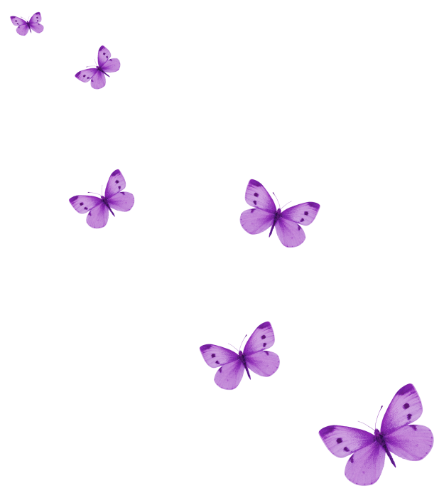 Papillon décoration 3